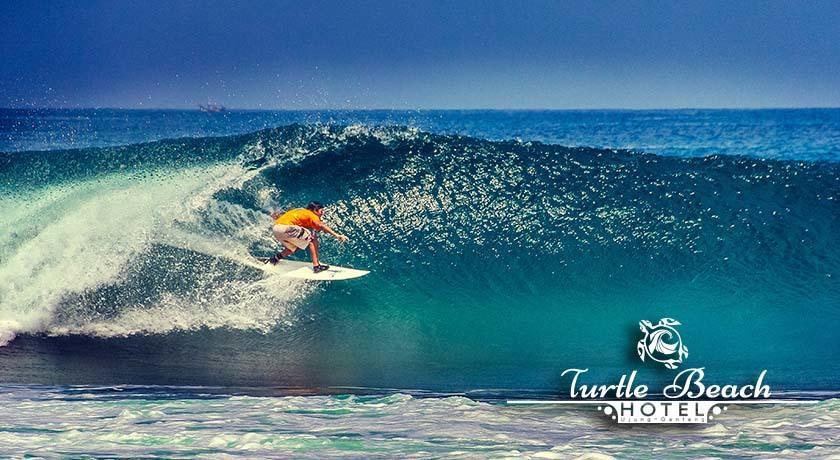 Turtle Beach Hotel Ujunggenteng 部屋 写真