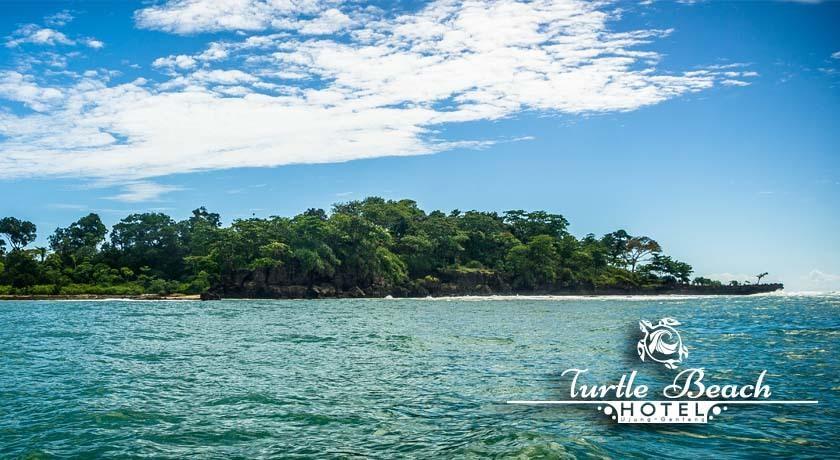 Turtle Beach Hotel Ujunggenteng 部屋 写真