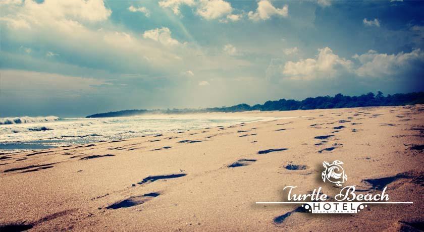 Turtle Beach Hotel Ujunggenteng 部屋 写真